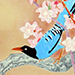Shoko and Atsushi Uemura Gallery